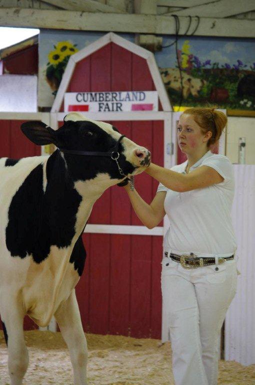 dairy